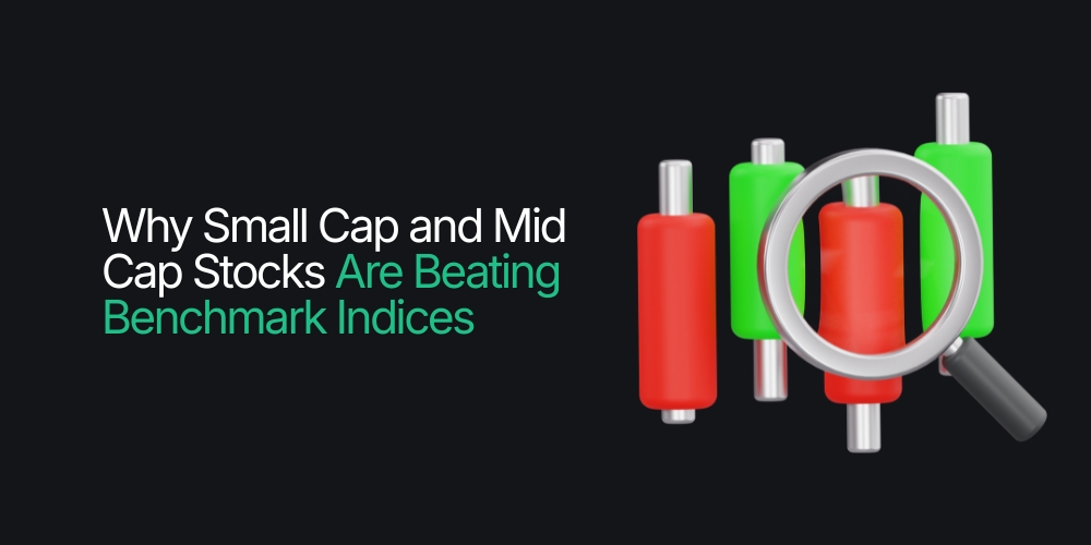 Small Cap & Big Cap